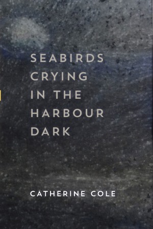 Seabird Crying in the Harbour Dark, by Catherine Cole